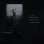 Artwork for "Psychotic Slicing"