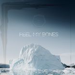Artwork for "Feel My Bones"