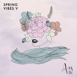 Artwork for "Spring Vibes V"