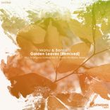 Golden Leaves (Aaron Dmitriew Remix)