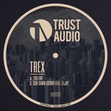 Artwork for "Too Far / God Damn Sound"