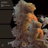 Artwork für "The Walhalla"