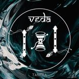 Artwork for "Veda"