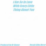 I Am So In Love With Every Little Thing About You