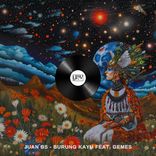 Artwork for "Burung Kayu"