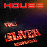Artwork voor "SLiVER Music House, Vol. 1"