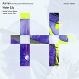 Artwork for "Water Lily (Dazzle Drums Remix)"