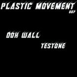 Portada para "Testone"