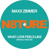 Artwork for "What Love Feels Like"