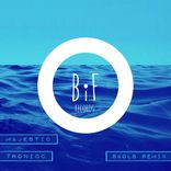 Artwork voor "Majestic"