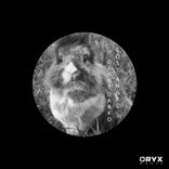 Artwork für "Lost Angel"