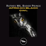 Artwork for "African Black Owl"
