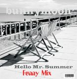 Hello Mr. Summer