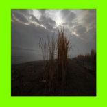 Artwork for "Morning Melodrama"