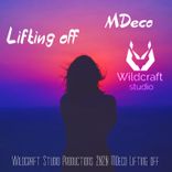 Artwork voor "Lifting Off"