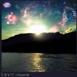 Artwork voor "I Choose Life"