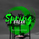 Artwork for "Spring Break Miami 2020: Best of Dance & House"