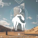 Artwork for "Feel It"