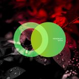 Artwork for "Sativa"