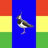 Roëd Gael Greun & Blauw