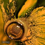 Artwork für "XKPSM001"