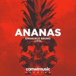 Artwork for "Ananas"