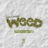 Artwork für "Weed (Chemical Noise Remix)"