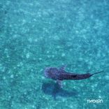 Artwork for "Dropsonde / Stratus"