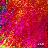 Artwork for "Organised Chaos"