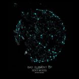 Portada para "Bad Element"