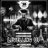 Artwork for "Levelling Up"