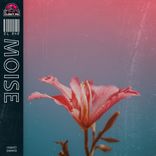 Artwork voor "Moise"