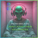 Artwork voor "Just Another Madness"