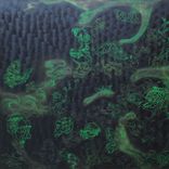 Artwork for "Elaphe Dione"