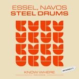 Artwork for "Steel Drums"