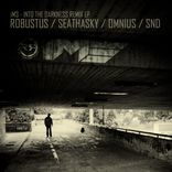 Artwork voor "Into The Darkness Remix EP"