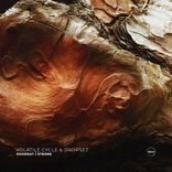 Artwork for "Hoodrat / Stronk"