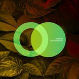 Portada para "Oasis Midnights"