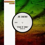 Portada para "Stalk of Sensi"