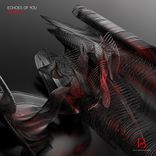 Artwork for "Echoes Of You"