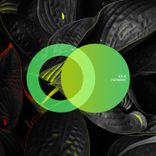 Artwork for "Harmony"