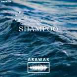 Artwork for "Shampoo"