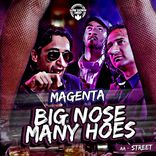 Artwork for "Big Nose Many Hoes / Street"