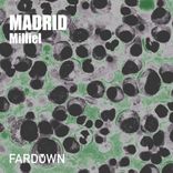 Artwork voor "Madrid EP"