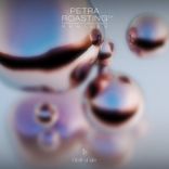 Artwork for "Petra Roasting Remixes"