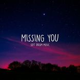 Artwork voor "Missing You"