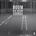 Portada para "Boom, Vol. 8 - Big Room Sounds"