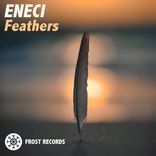 Artwork for "Feathers"