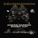 Artwork for "Ebumnandini"