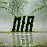 Artwork voor "Namaqua"